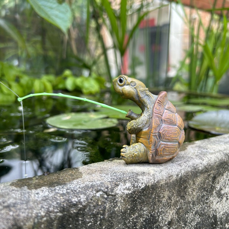 Schildpadvissen, aquariumdecor - Ocean Aquarium recensie en prijs