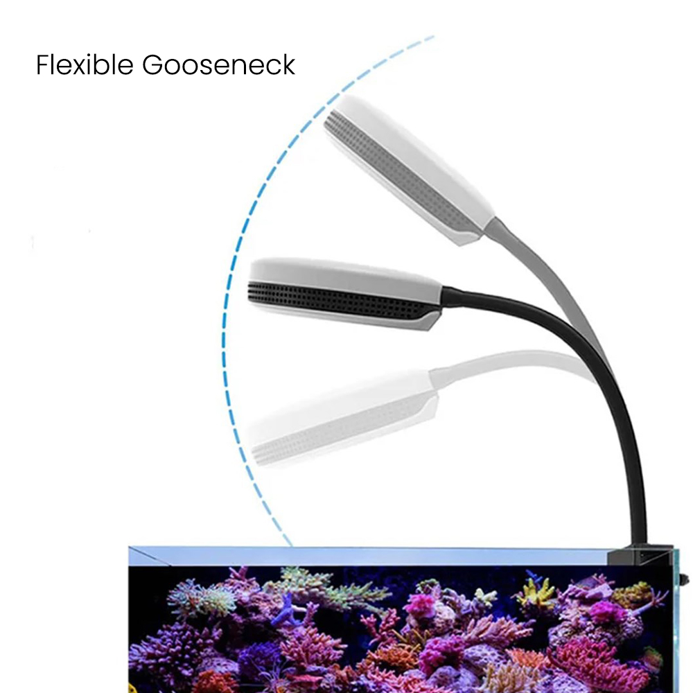 Spectra SP20 20W Aquarium LED- - Marine Coral recensie en prijs