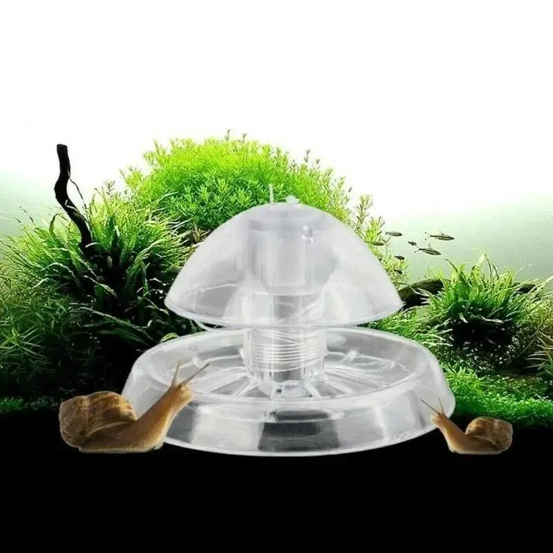 2026 Nieuwe 6/8CM Transparante - Marine Aquarium recensie en prijs