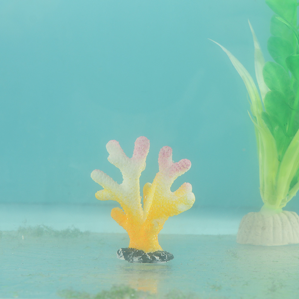 Kunstmatige Koraal Aquarium Or - Reef Aquarium recensie en prijs