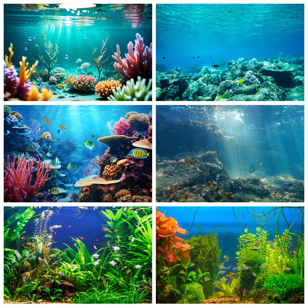 Onderwaterwereld zeebodem foto - Aquarium Marine World recensie en prijs