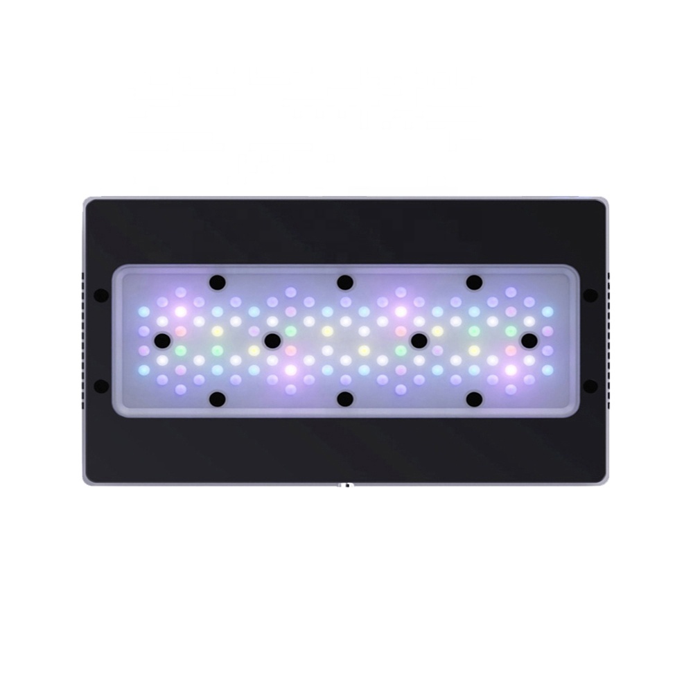 A8SE II Max en Blue 240W Volsp - Marine Coral recensie en prijs