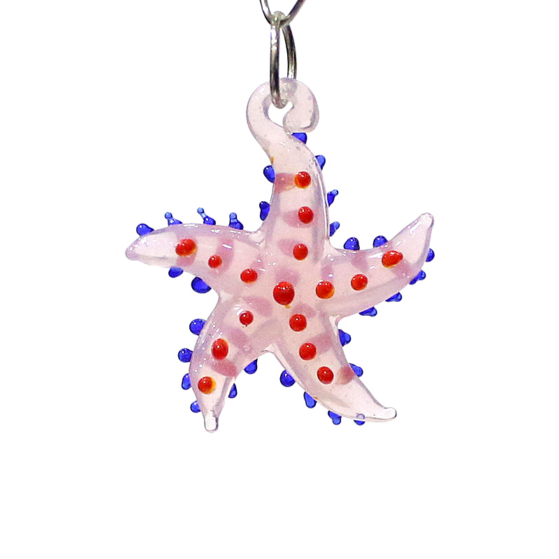 Schattige zeester charme minia - Marine Aquarium recensie en prijs