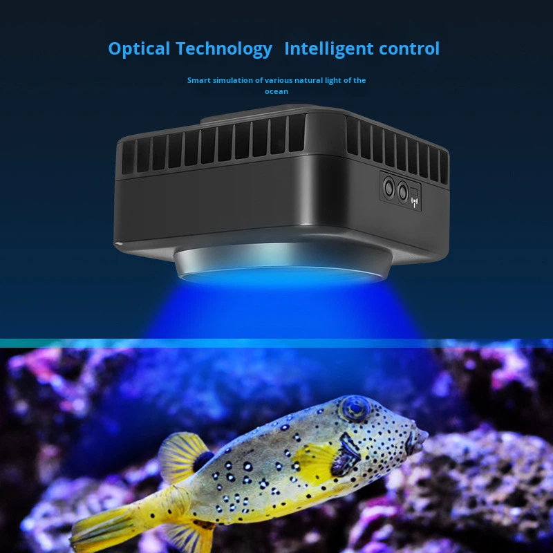 Jebao GSQ Smart Marine Coral L - Marine Coral recensie en prijs